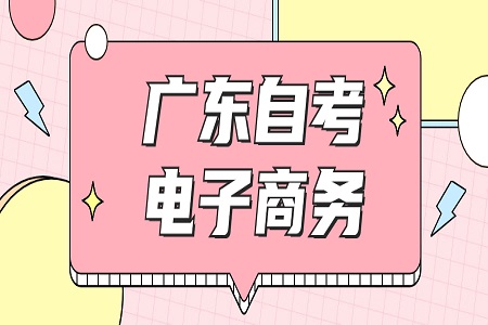 廣東自考電子商務畢業論文范文